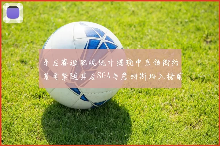 季后赛造犯规统计揭晓申京领衔约基奇紧随其后SGA与詹姆斯均入榜前十